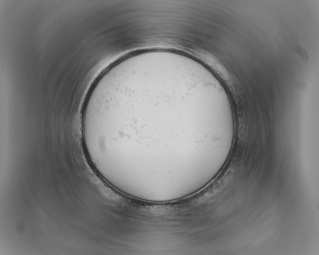 X0000112021380200908311146