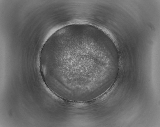 X0000112021382200908311146