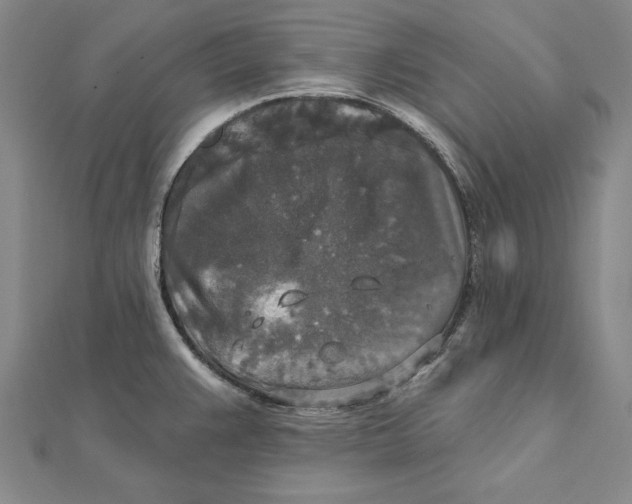 X0000112021383200908311146