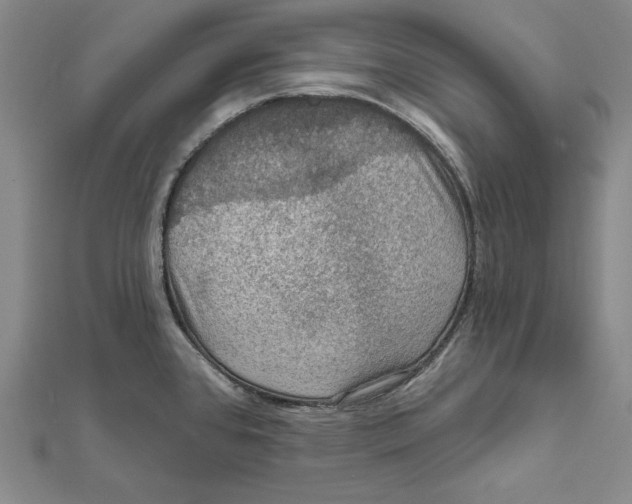 X0000112021384200908311146