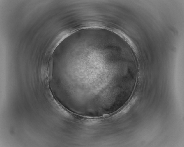 X0000112021385200908311146