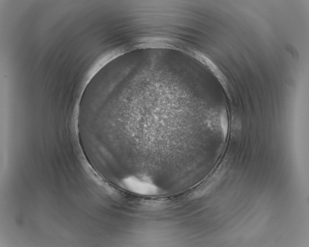 X0000112021386200908311146