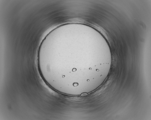 X0000112021387200908311146