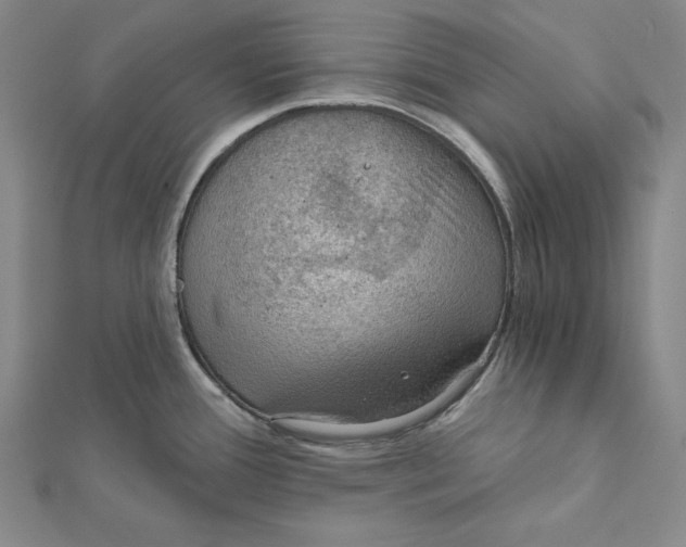 X0000112021388200908311146