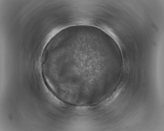 X0000112021389200908311146