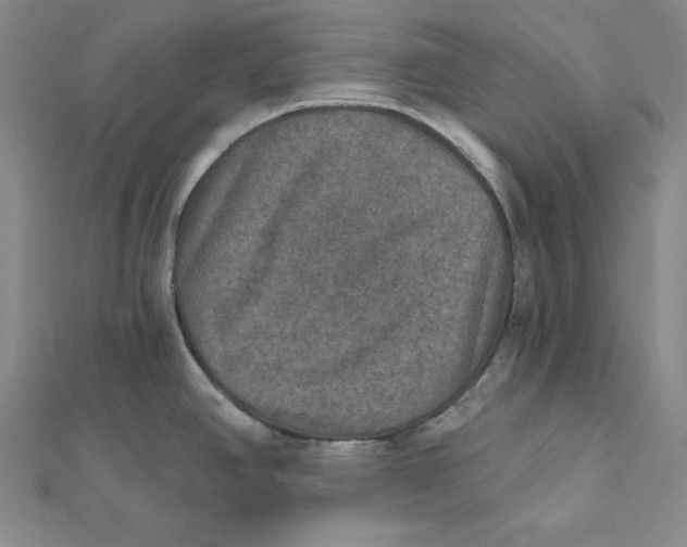 X0000112021390200908311146