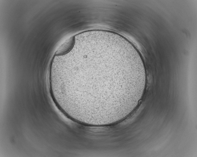 X0000112021391200908311145