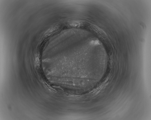 X0000112021394200908311145