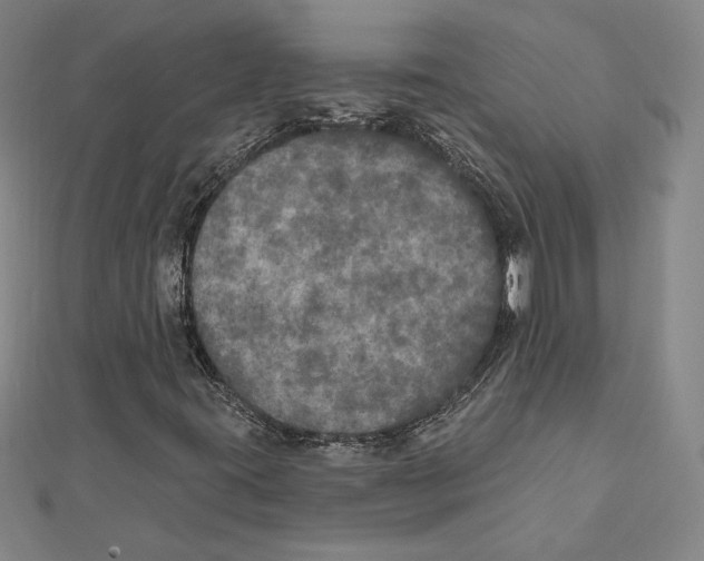 X0000112021395200908311145