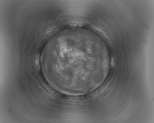 X0000112021396200908311145