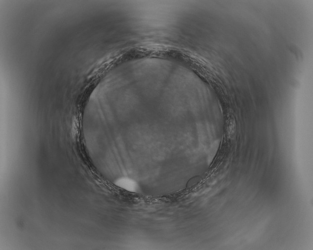 X0000112021397200908311145