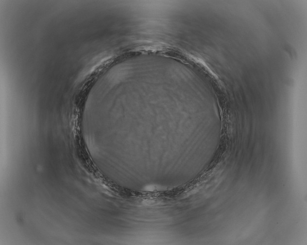 X0000112021399200908311145