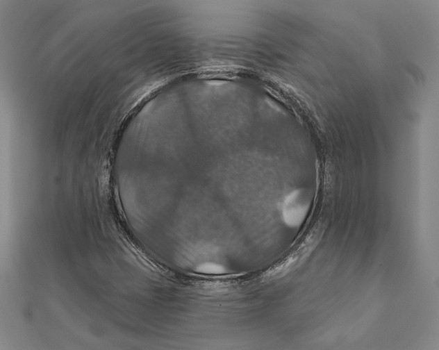 X0000112021401200908311145