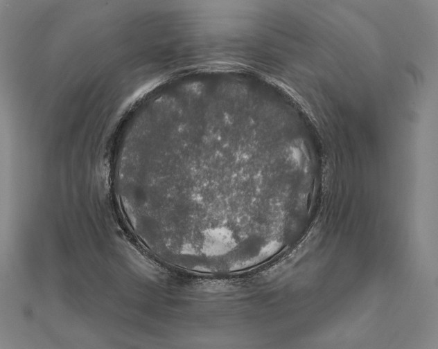 X0000112021402200908311145