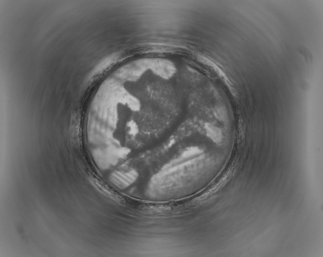 X0000112021403200908311145