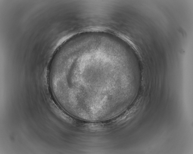 X0000112021404200908311145