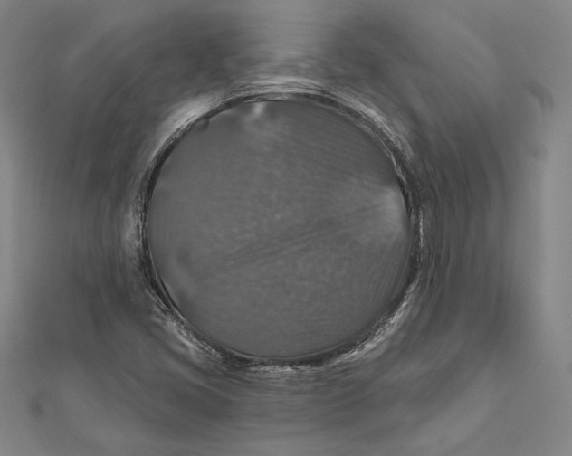 X0000112021405200908311145