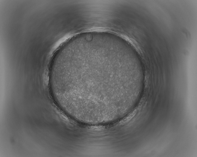 X0000112021406200908311145