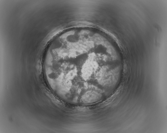 X0000112021407200908311145