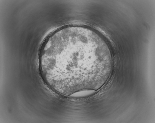 X0000112021408200908311145