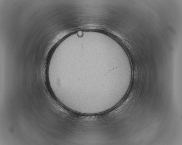 X0000112021410200908311145