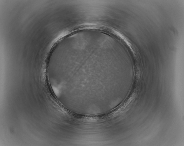 X0000112021411200908311145