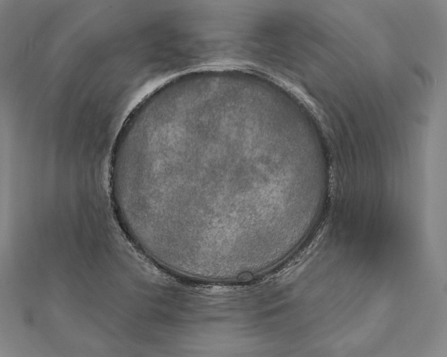 X0000112021412200908311145