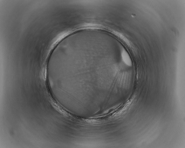 X0000112021413200908311145