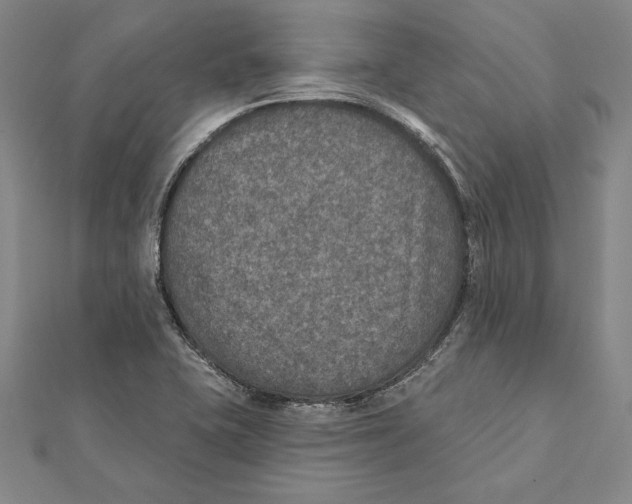 X0000112021415200908311145