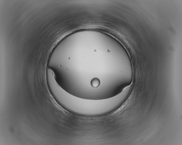 X0000112021417200908311145