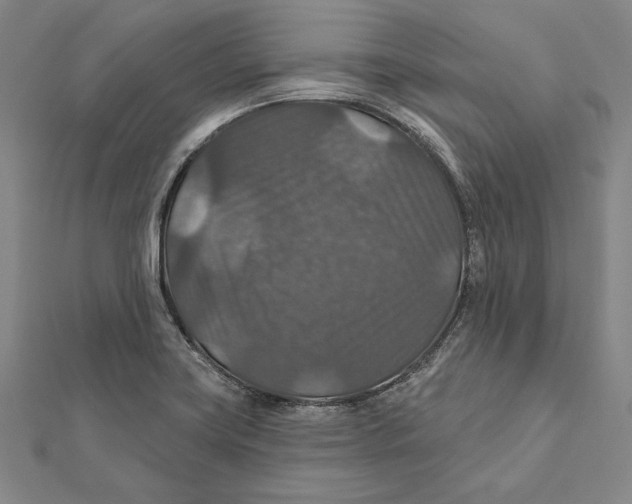 X0000112021419200908311145