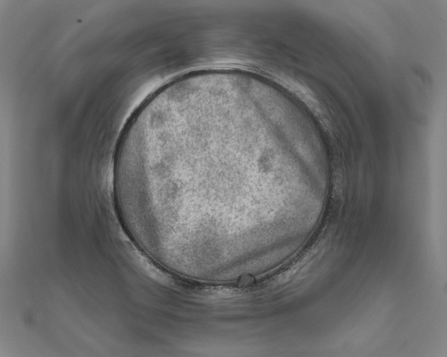 X0000112021420200908311145