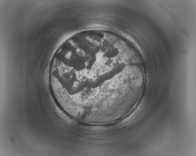 X0000112021421200908311145