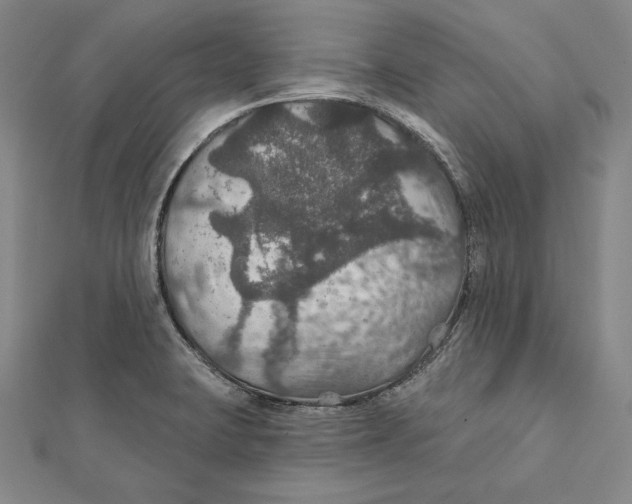 X0000112021423200908311145