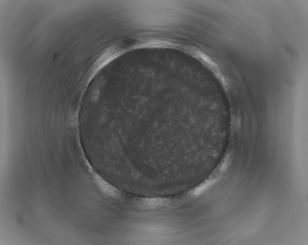 X0000112021425200908311145