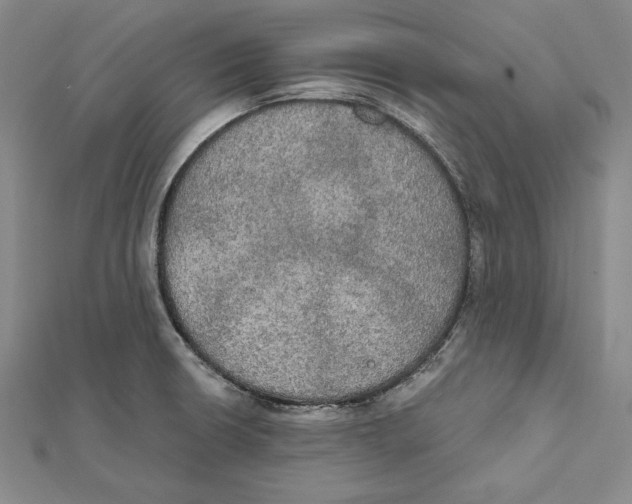 X0000112021426200908311145