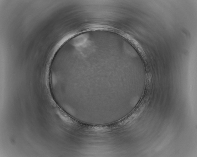 X0000112021427200908311145