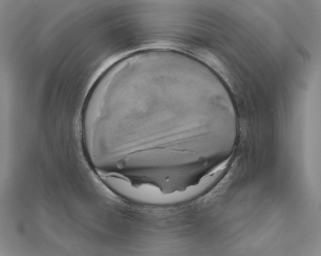 X0000112021428200908311145