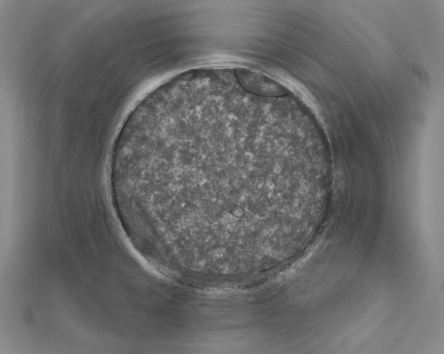 X0000112021429200908311145