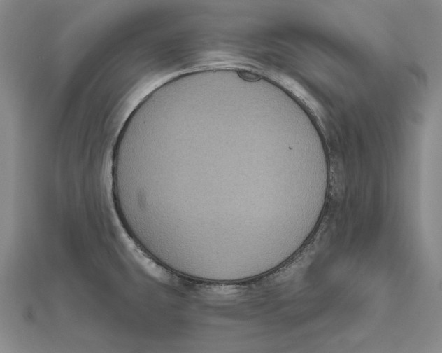 X0000112021431200908311145