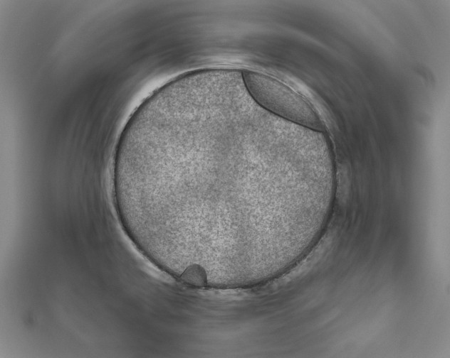 X0000112021432200908311145