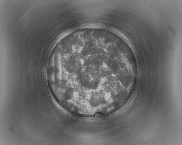 X0000112021433200908311145