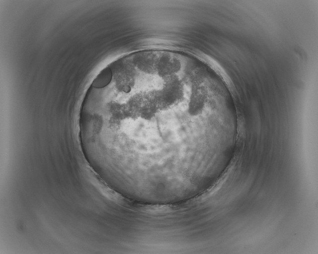 X0000112021435200908311145