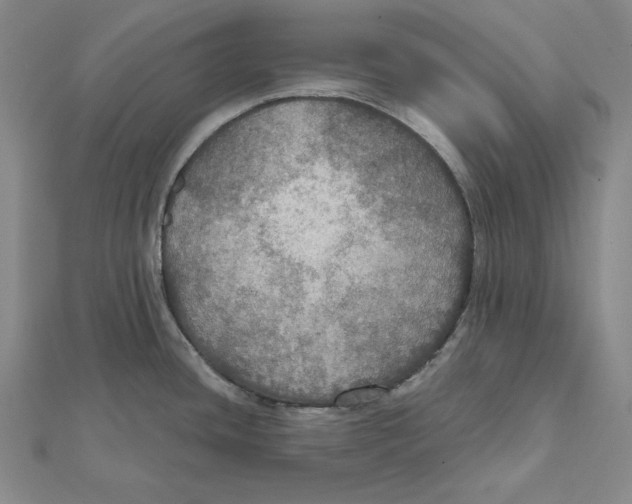 X0000112021436200908311145