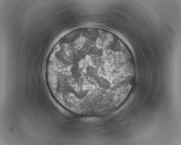 X0000112021437200908311145