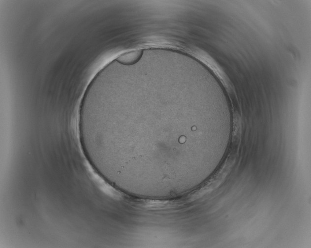 X0000112021439200908311145