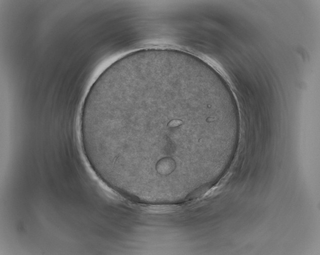 X0000112021440200908311145