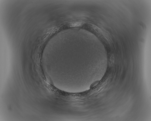 X0000112021441200908311145