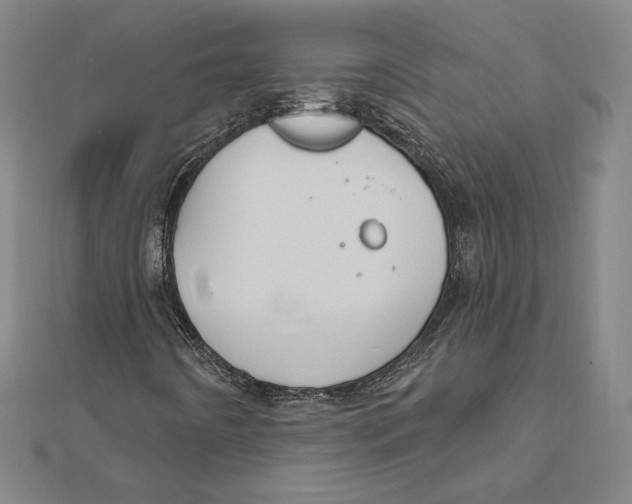 X0000112021442200908311145