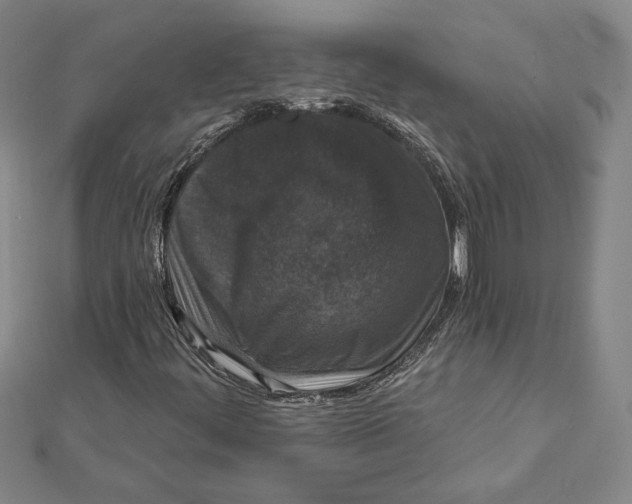 X0000112021444200908311145